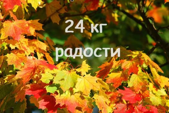 24 кг радости #маринабехтер смотреть онлайн