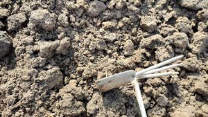 Как избавиться от медведки