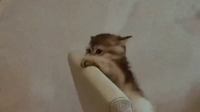 Учись проявлять терпение