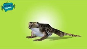 Дикие животные - Кто живет в лесу - развивающие мультики Монтессори для самых маленьких