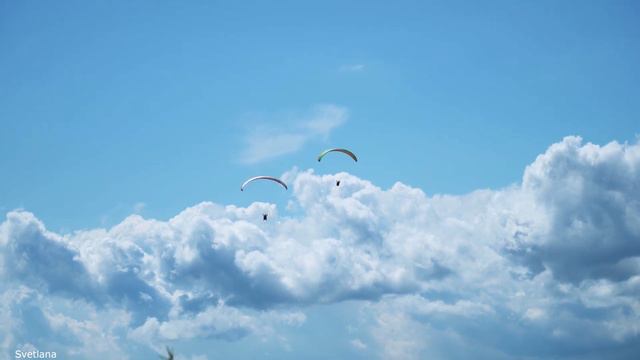 Альбинони -Адажио - Albinoni-Adagio смотреть онлайн