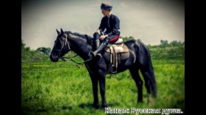Казачья песня "Скакал казак"