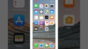 Установка DJI Fly Plus с нуля