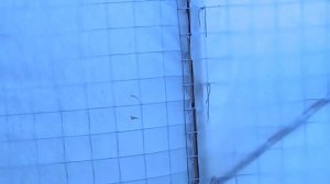 Вольер для бройлеров. Содержание на подстилке.