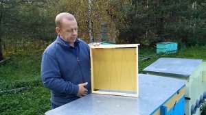 Среднерусская пчела для Средней полосы России в ульях лежаках Якимова