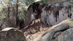 Секвоя Национальный парк в Калифорнии, США