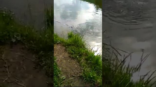 13.06.21 рыбалка Гарантия смотреть онлайн