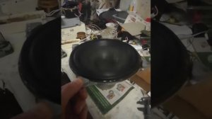 Сабвуфер из 10ГД-30Е.