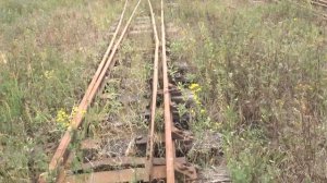 Заброшенная узкоколейная железная дорога. Просим машинистов подудеть) Грузовые поезда 2021. Часть 2