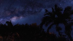 Summer Ambience Part Three: Stargazing | Night Sky, Crickets, Relaxing Music, Ambient Noise