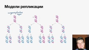 2.58. Модели репликации ДНК | Цитология к ЕГЭ | Георгий Мишуровский