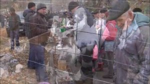 Выставка птиц парк им Артема