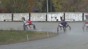 03. 10. 2020 Заезд №8 (113). Приз "Имени наездников Курганской области"