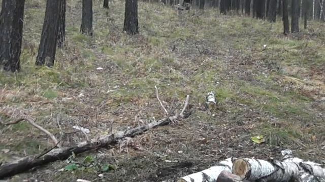 Два канала,две собаки. Подготовка избы,рыбалка и охота. 19 октября 2018г. смотреть онлайн
