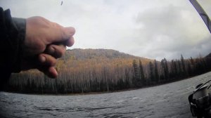 Рыбалка. Хариус. Лесная изба. Река БИРЮСА.