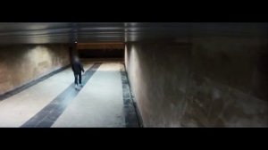 Собака в костюме паука