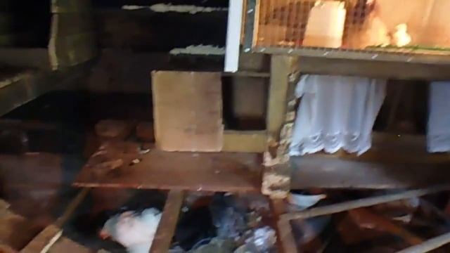 Ошибки нашего курятника! смотреть онлайн