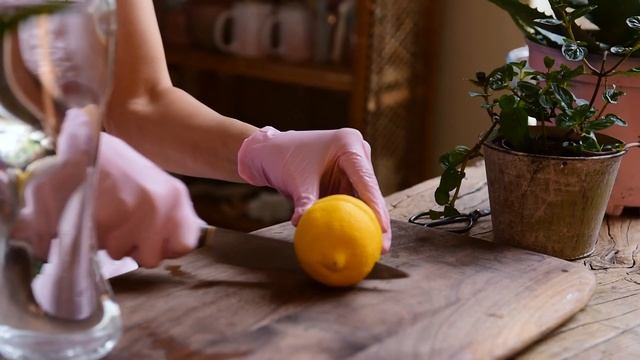 THREE AMAZING ALOE VERA DRINKS | How to Cut and Clean Aloe Vera | How to Make Aloe Vera Drinks смотреть онлайн