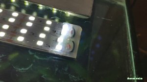 Светодиодная лампа для аквариума своими руками