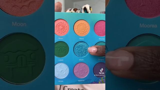 ? Nomad Cosmetics Paradise Islands Palette ?