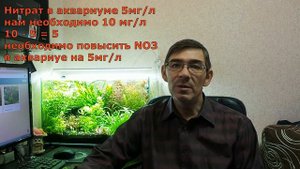 Как расчитать количество вносимых удобрение в аквариум