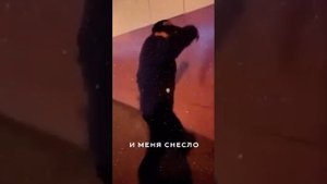 Плыли мы по морю ветер мачту рвал