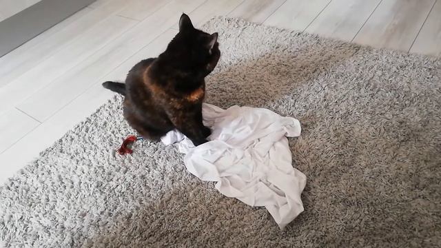 Черри и плотная футболка смотреть онлайн