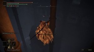 Hidden Path to the Haligtree Walkthrough: All Items, Secrets & Boss Location | Elden Ring