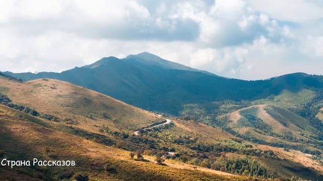 Посадил мать в коляску и покатил к машине, но вдруг случилось такое... смотреть онлайн