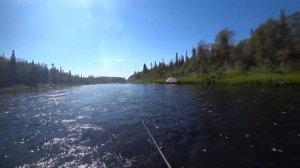 Рыбалка на горбушу, часть 1