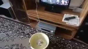 Сахарная вата  приготовление