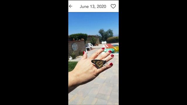 [prophet dream-leap of faith-Kingdom marriages-God's Promises can B trusted-Exodus 14:14 Luke 11:11 смотреть онлайн