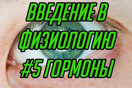 Основы физиологии #5. Железы внутренней секреции