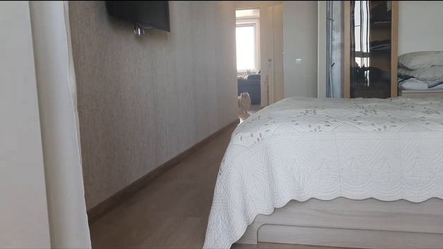 Шпиц Бася нашла кота и испортила ему сон! смотреть онлайн