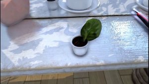 Өсімдіктер қалай дамиды?