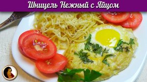 Шницель нежный с яйцом. Куриный шницель рецепт.