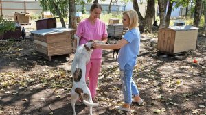 Ольга Тимофеева: «Поправки в закон о животных не отменяют главного – гуманного обращения»