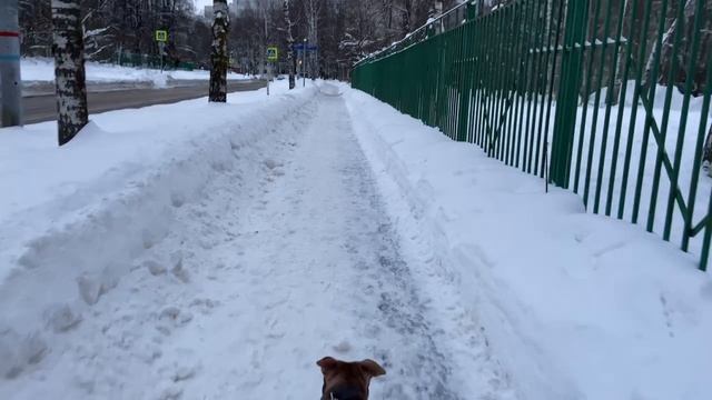 Я не хочу, чтоб ты нас снимал! смотреть онлайн