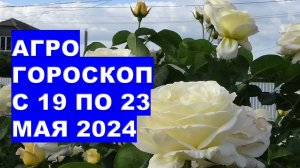 Агрогороскоп с 19 по 23 мая 2024 года Agrohoroscope from May 19 to May 23, 2024