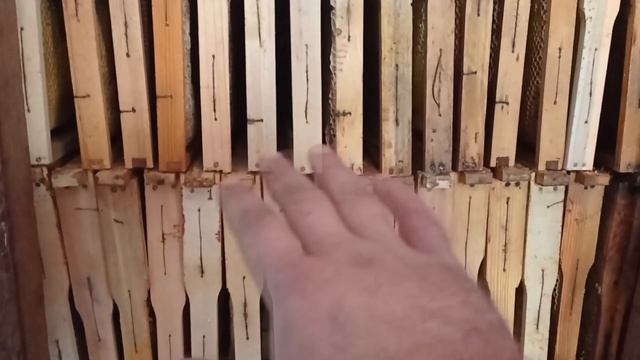 Крысы, мыши, моль! Хранение золотого запаса пчеловода, от злостных вредителей. смотреть онлайн