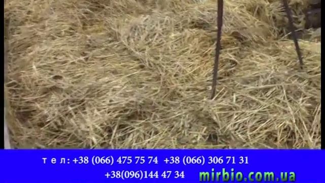 Утеплении Червя На ЗИМУ ---- Мир Удобрений. Биогумус worms in winter Vermicomposting смотреть онлайн