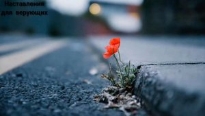 УПОВАНИЕ НА АЛЛАХА. ПОЛАГАЙСЯ НА НЕГО. НАДЕЙСЯ НА АЛЛАХА. Наставления для верующих. Религия Ислам.