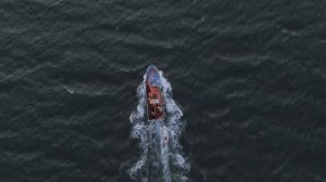 ЧТО ЗА ЗВУКИ ПОД ВОДОЙ?? И КТО ИХ ИЗДАЕТ??