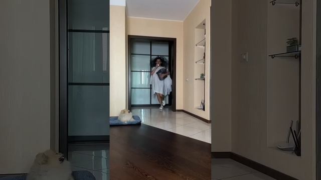 СОБАКА В КОНЦЕ НЕ ВЫДЕРЖАЛА ЭТУ МОДУ? смотреть онлайн