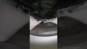 Цимлянск/вода/как можно так ??? 2 раза в неделю такая идет вода