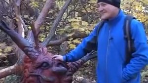 Сказочный парк в Бору Алексин