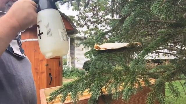 Сентябрь Пчелы Преподносят сюрприз￼.￼ смотреть онлайн