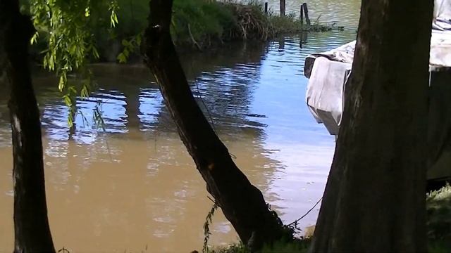 ? рыбалка В Аргентине РЫБА ДОРАДО ? кемпинг и обед на костре смотреть онлайн