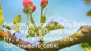 Евгений Евтушенко - Среди любовью слывшего