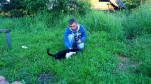 КАК НАУЧИТЬ КОМАНДЕ КОТА СИДЕТЬ ДАЙ ЛАПУ ДРЕССИРОВКА КОШЕК